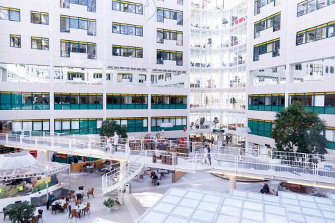 atrium-arnhem-2 copy