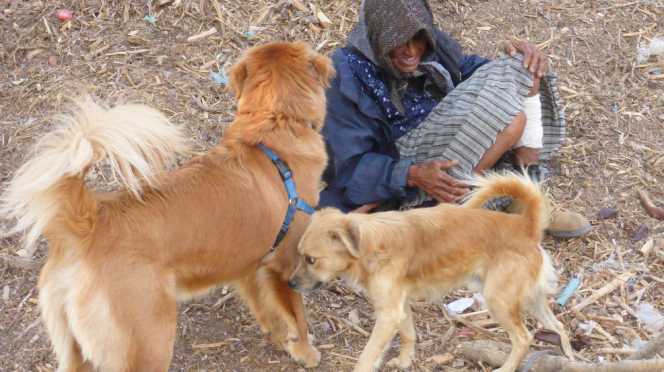 15410377333_cfd020da7f_o