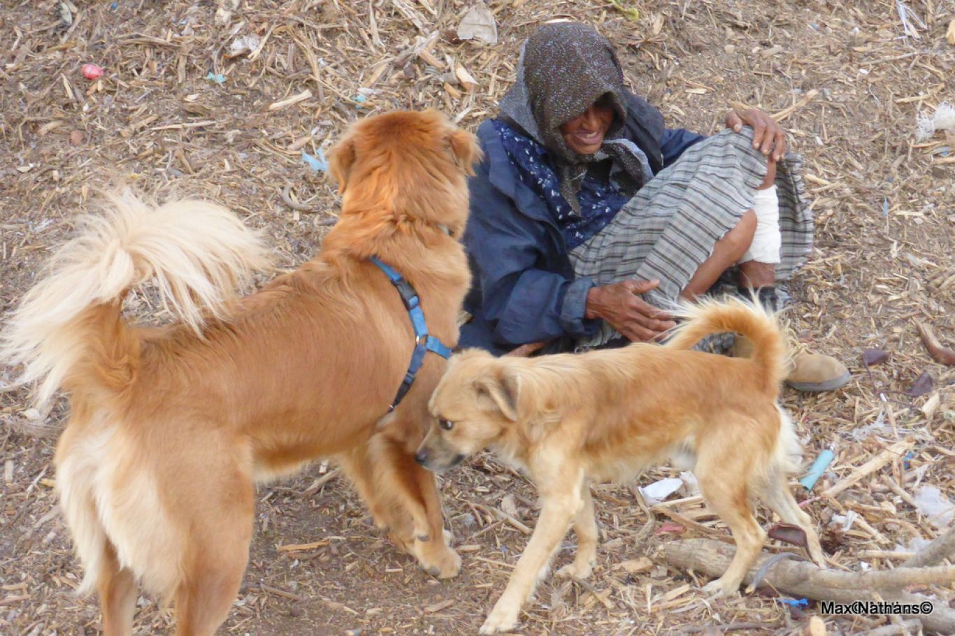 15410377333_cfd020da7f_o