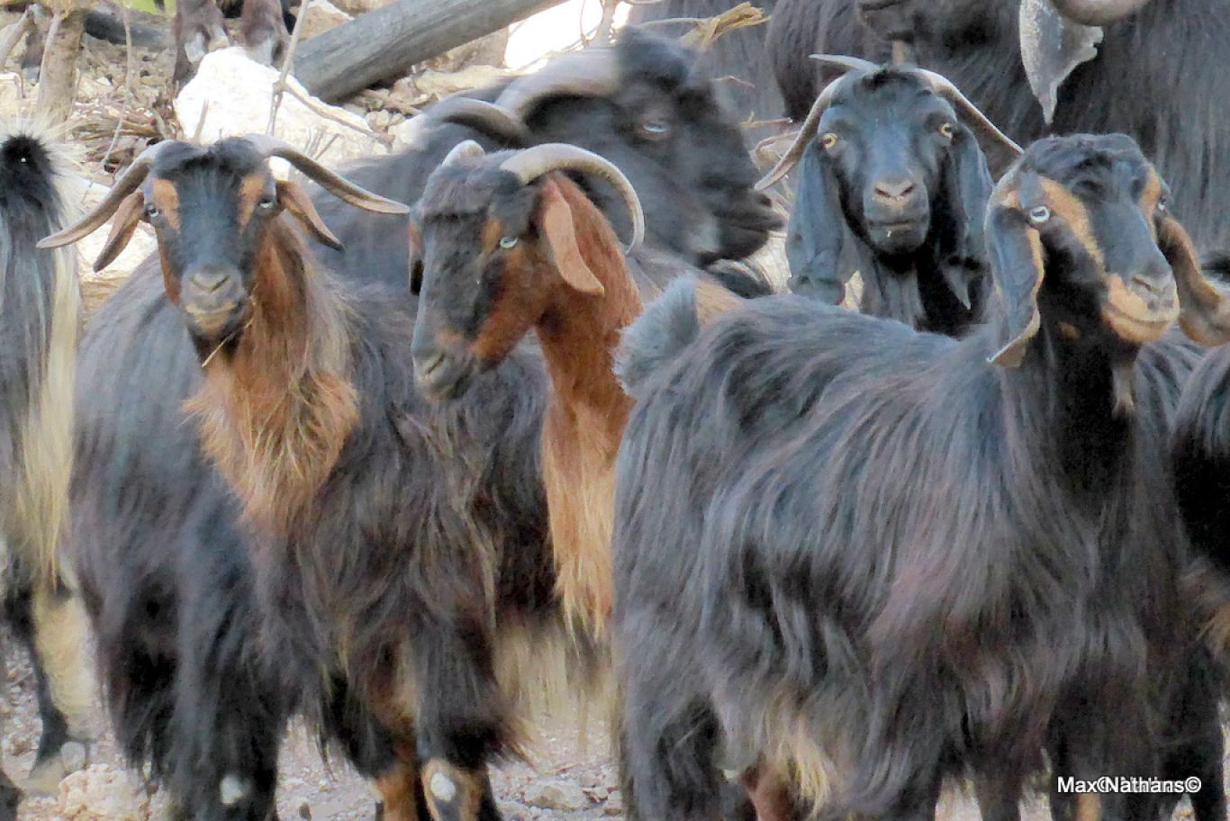 15844267437_c2bc1e65f5_o