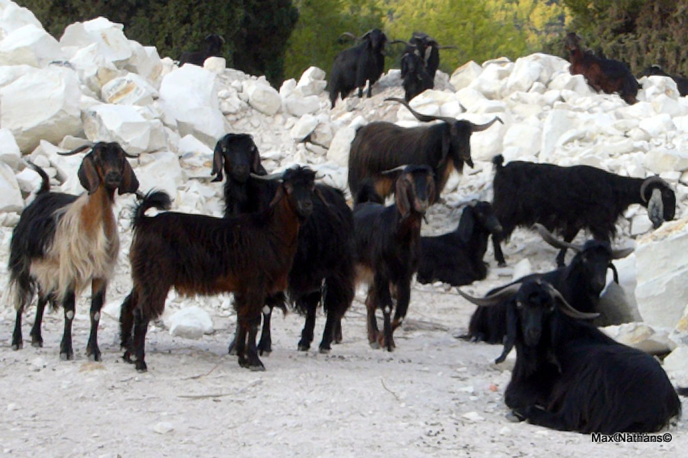 16030011045_745e081c83_o