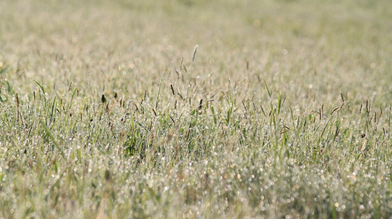 7153869081_14a783a07e_o-1024x577