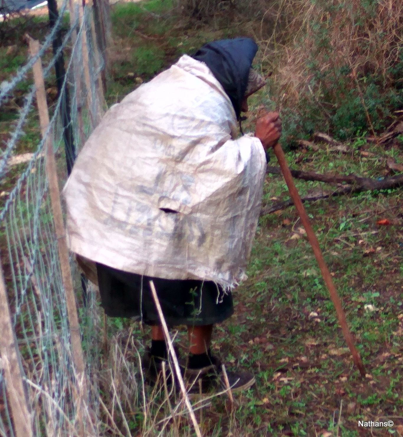 IMG_20161225_153801_HDR