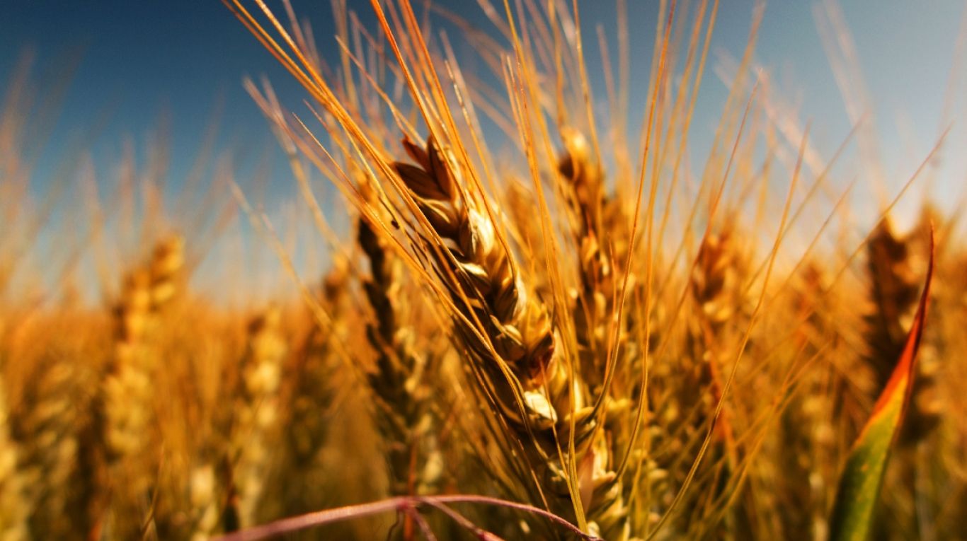 Joodse feesten - Shmini Atzeret