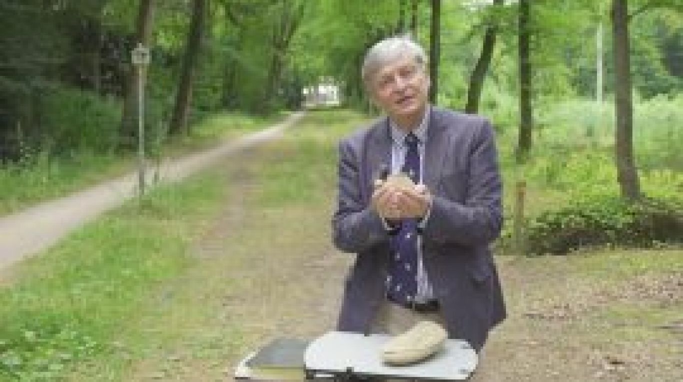 Schermafbeelding-2018-08-17-om-12.31.23-270x155