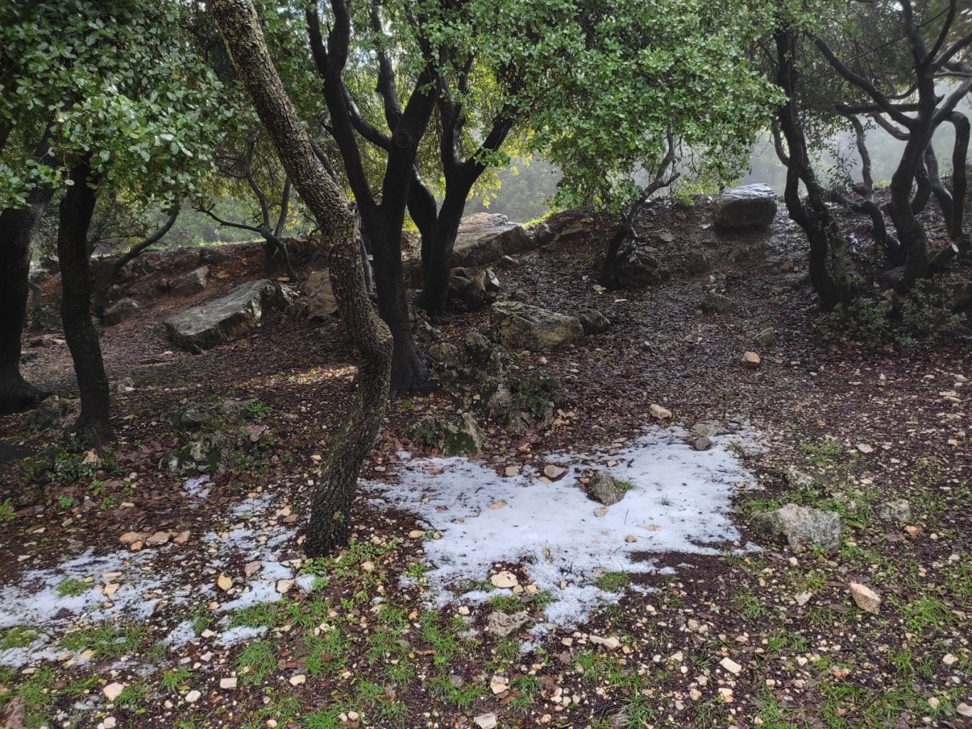 WhatsApp Image 2022-02-10 at 11.59.40