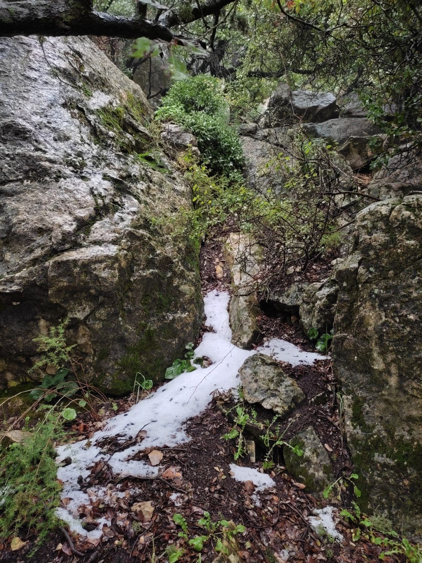 WhatsApp Image 2022-02-10 at 11.59.41