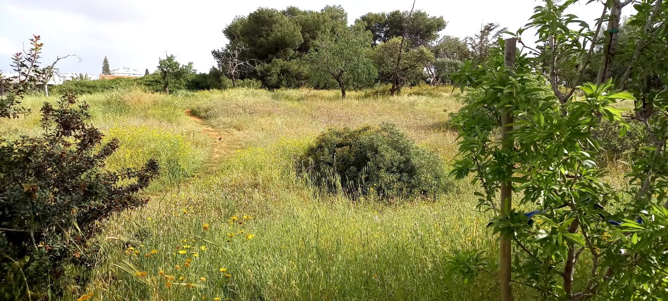 WhatsApp Image 2022-08-28 at 16.44.29