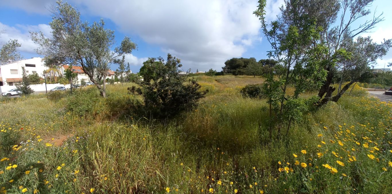 WhatsApp Image 2022-08-28 at 16.44.33