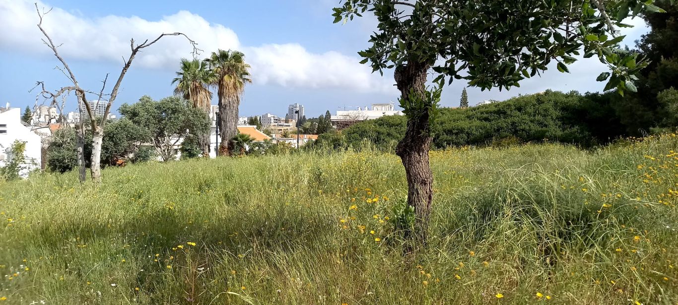 WhatsApp Image 2022-08-28 at 16.44.34