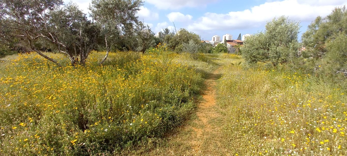 WhatsApp Image 2022-08-28 at 16.44.35