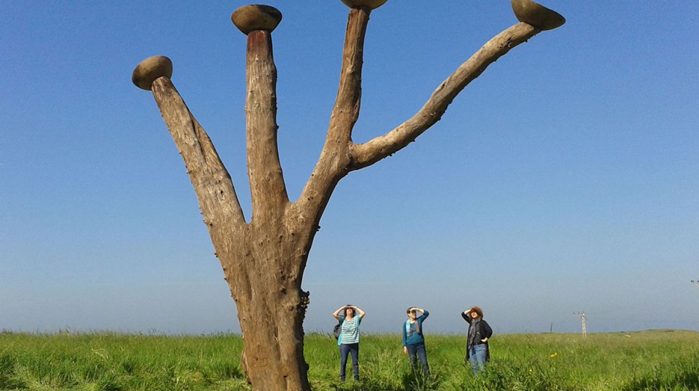 plea-tanya-preminger-environmental-art