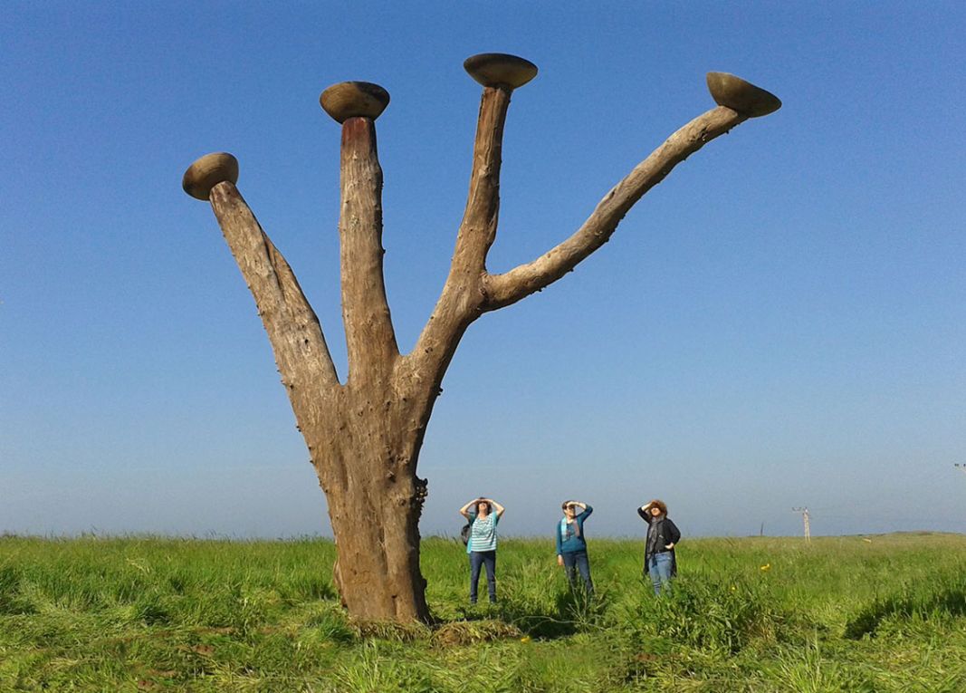 plea-tanya-preminger-environmental-art