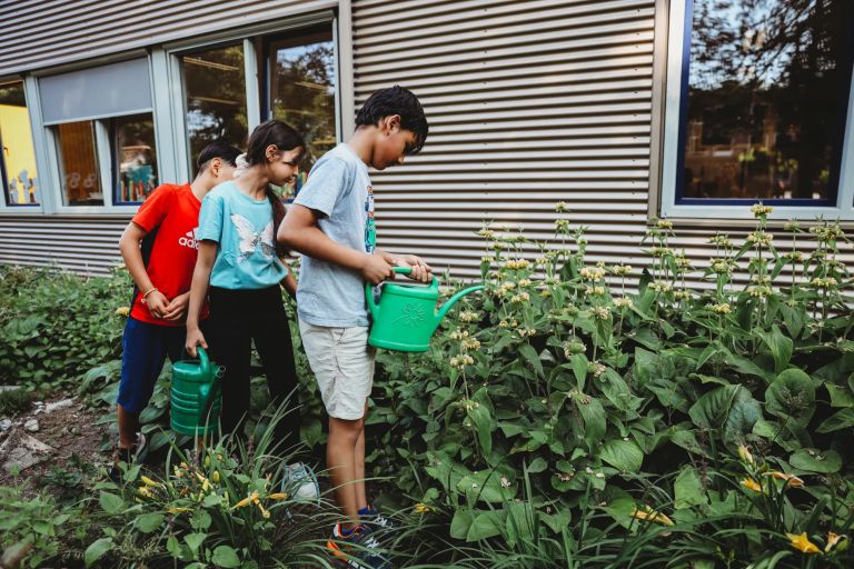 Three pupils watering bushes in the school yard together Three pupils watering bushes in the school yard together