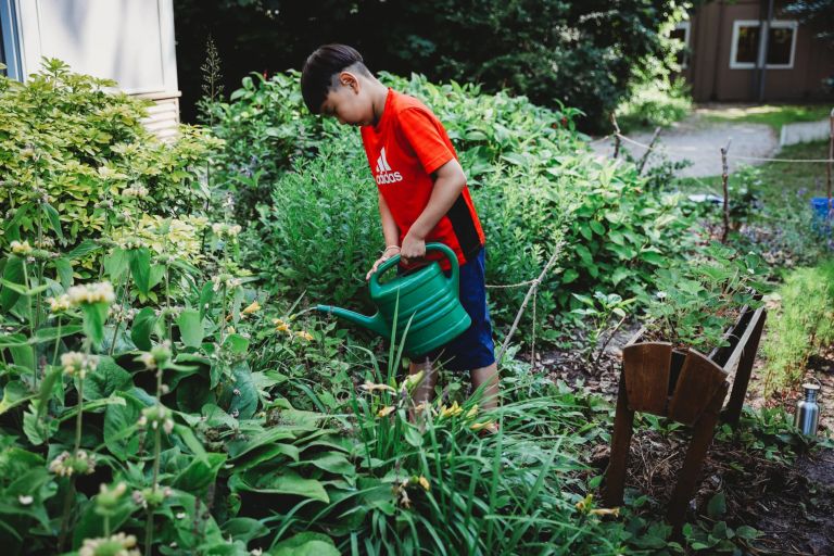 A boy waters plants as part of a gardening activity A boy waters plants as part of a gardening activity