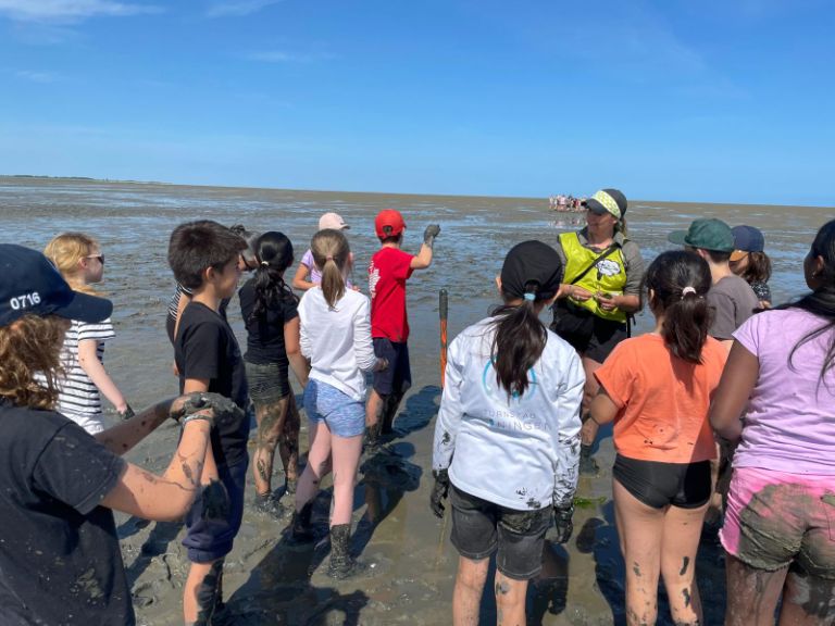 Pupils participating in a mud walk, a field trip in low tide in the Netherlands Pupils participating in a mud walk, a field trip in low tide in the Netherlands