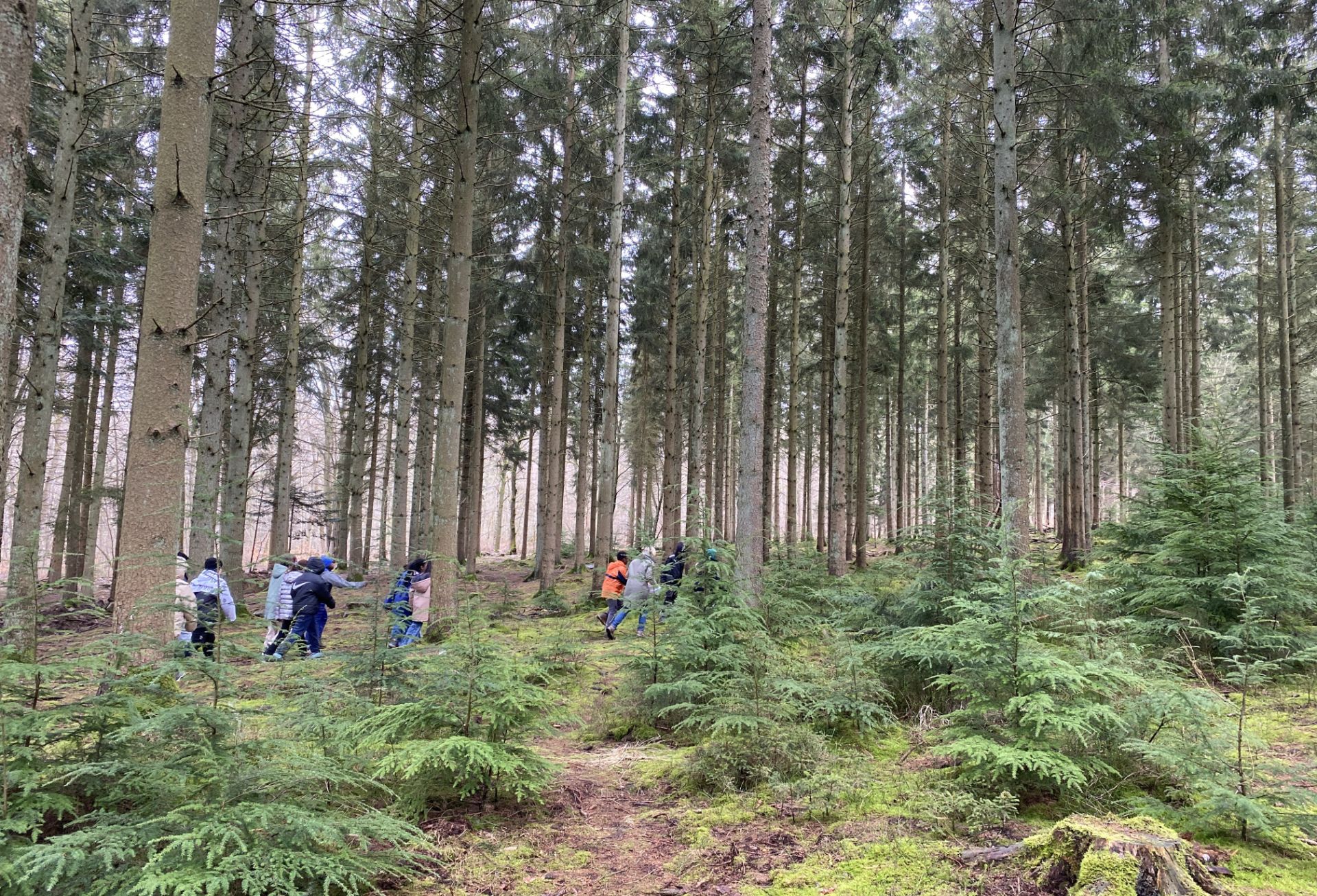 8b bosklas Bosklas met sociale vaardigheden en verbinding met de natuur. Kinderen wandelen in het bos.