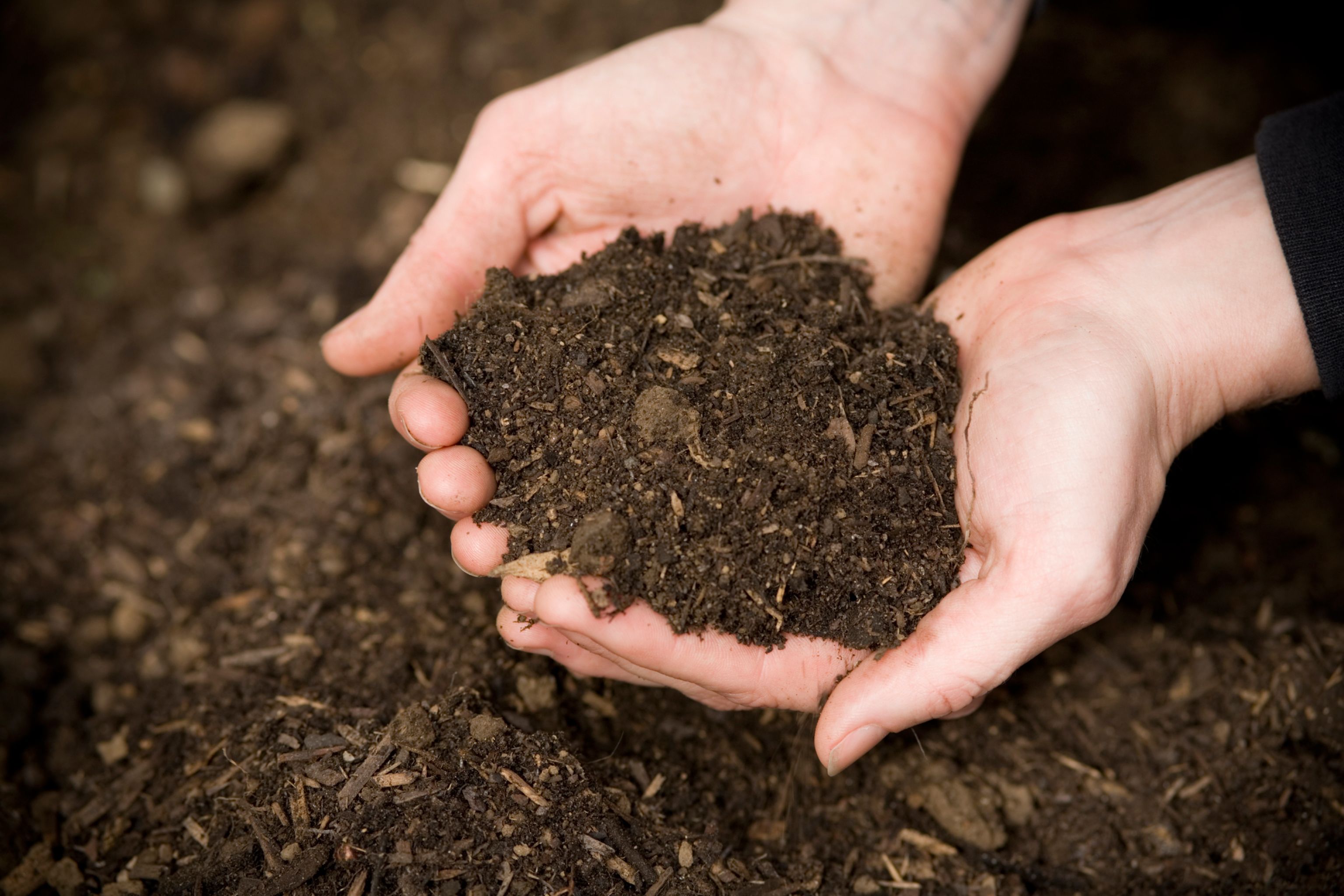 Hands-in-compost