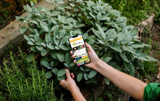 Enjoy the sun mockup