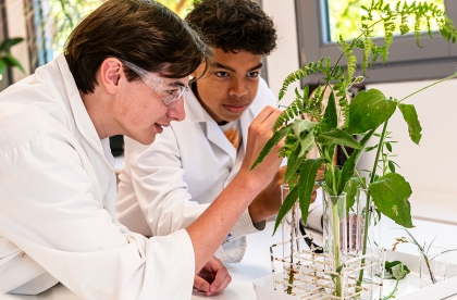 Leerlingen werken