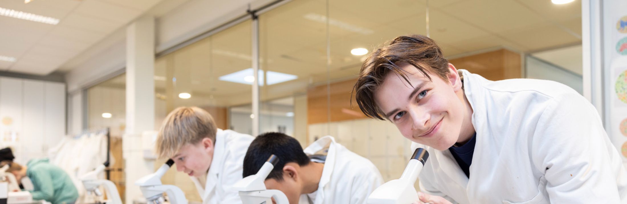 Jongens achter microscoop