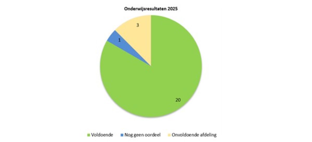 Taartdiagram onderwijsresultaten