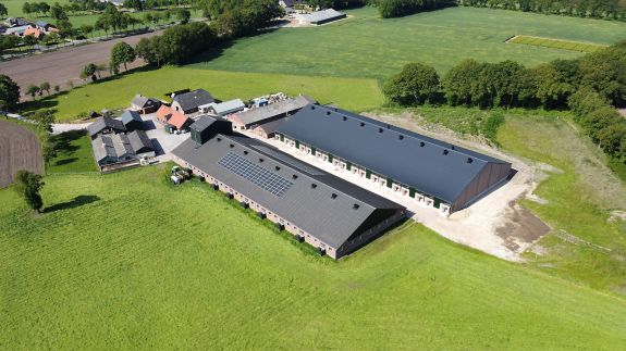 Ferme d’élevage de veaux Van der Meijde