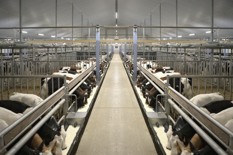 Bouwen met gevoel