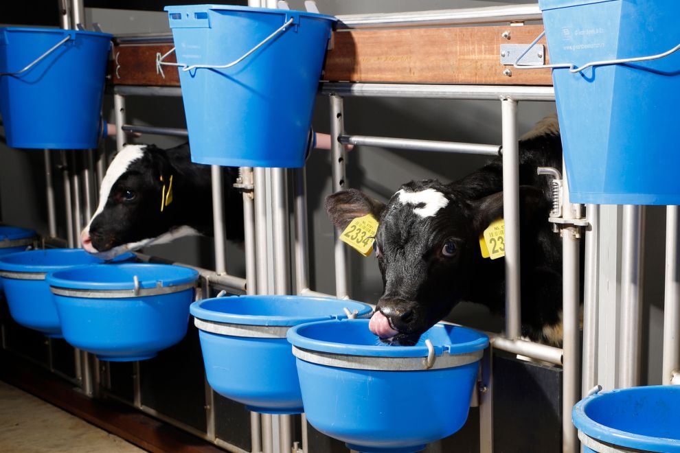 Banner Calf Care System Banner Calf Care System