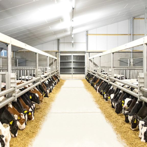 Innovatieve producten en oplossingen