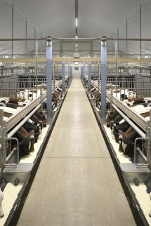 Votre étable à veaux innovante et durable