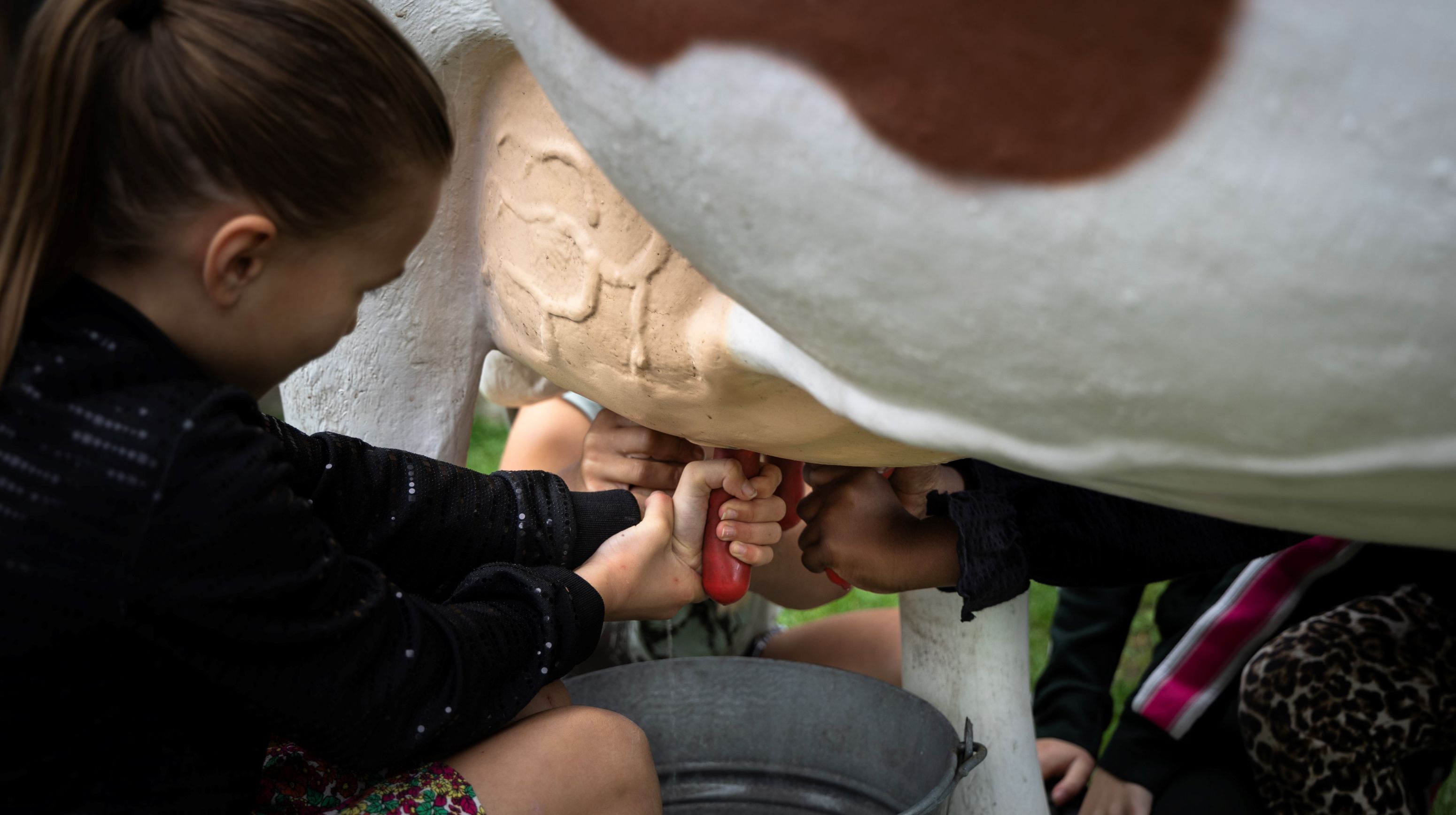 Nederlands zuivelmuseum meisje melkt koe site