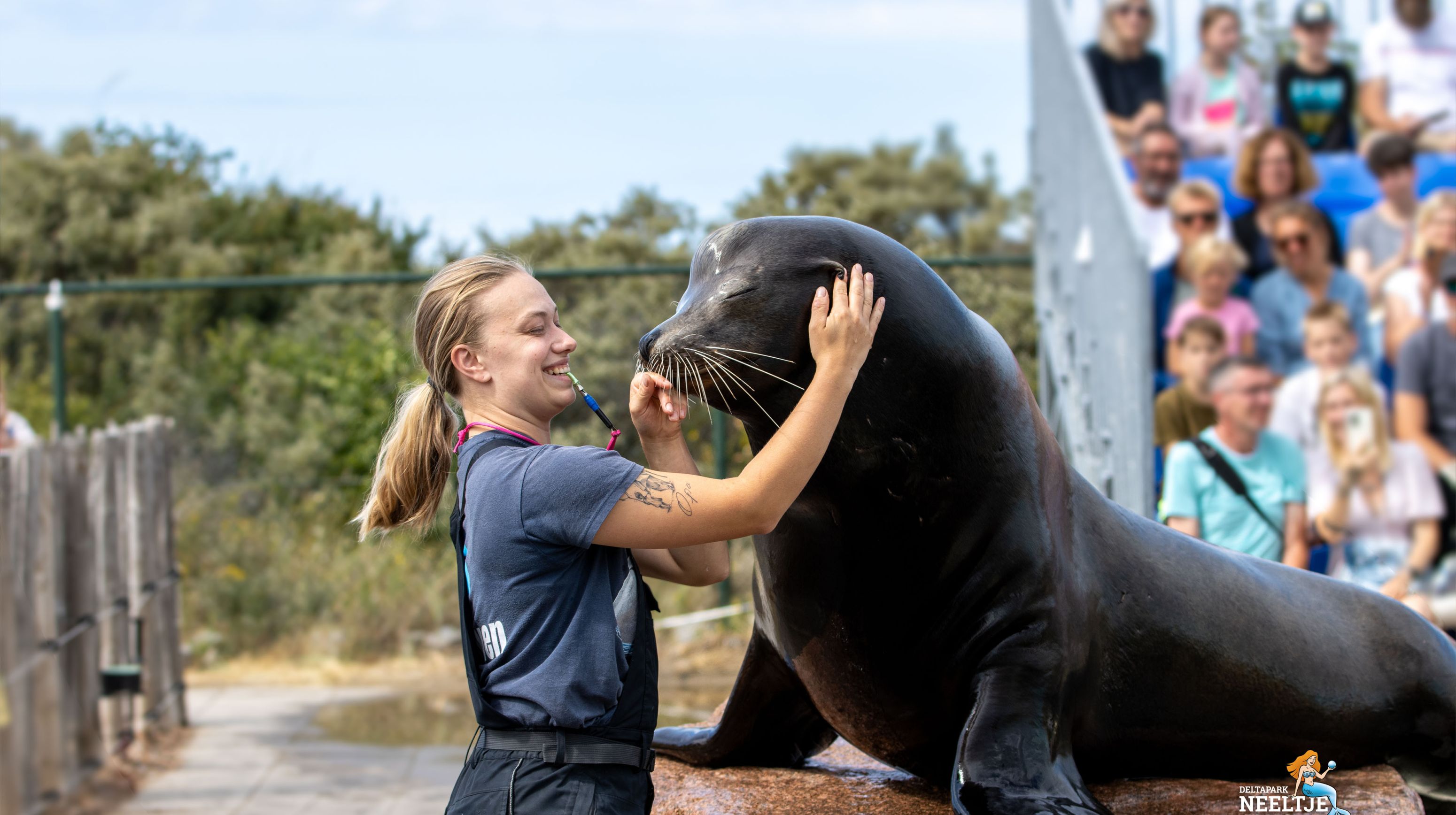 Neeltje Jans trainer zeeleeuw