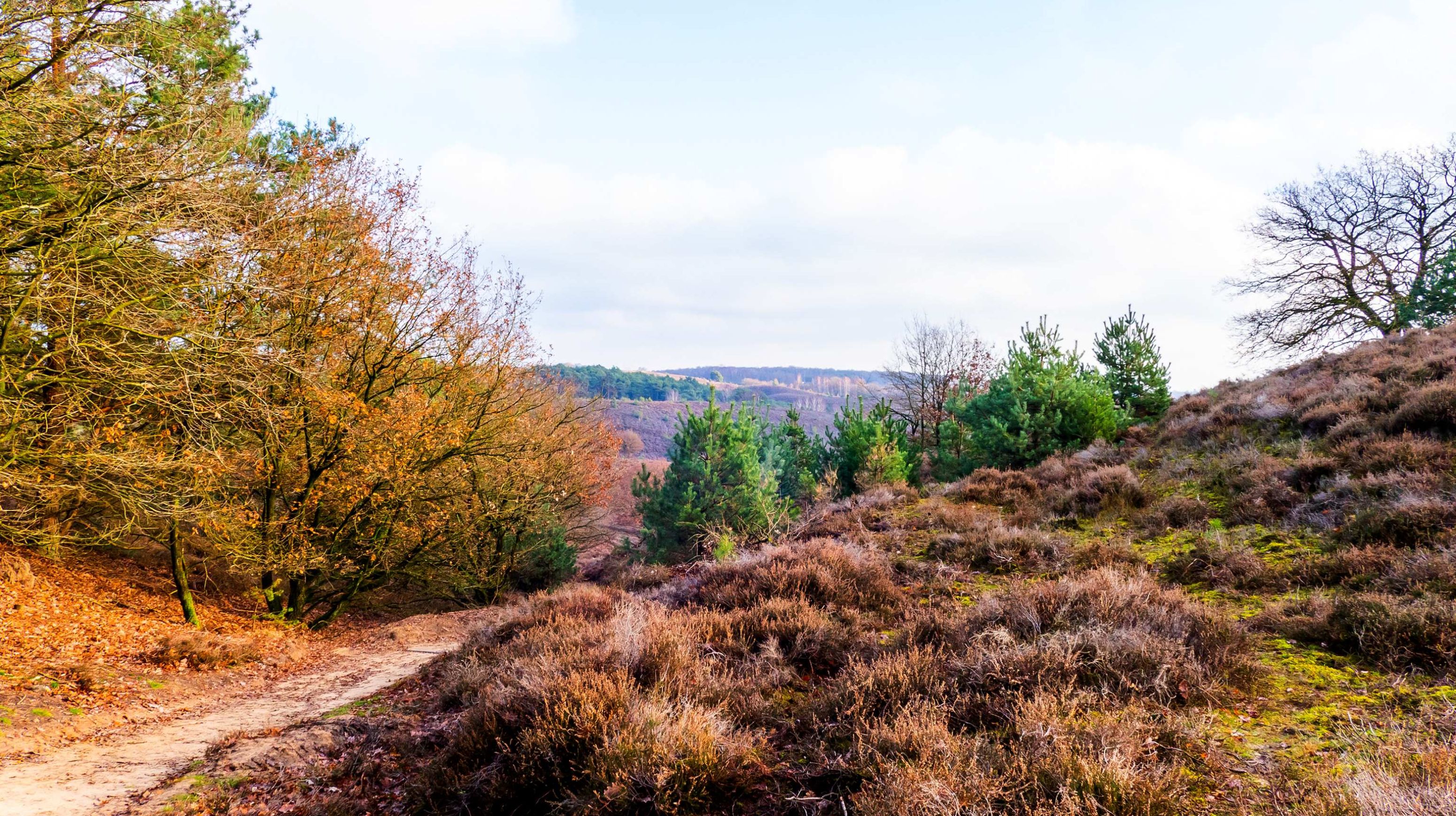Posbank RD GettyImages-1325012539 site