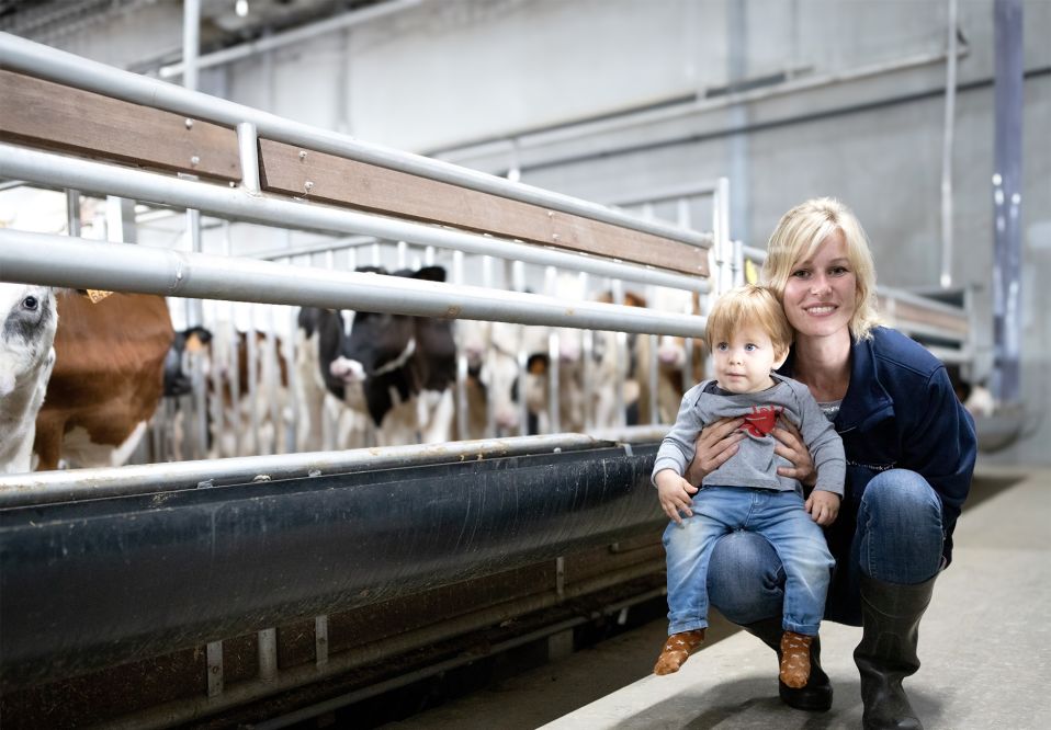 Banner 04 Small Banner 04 Small