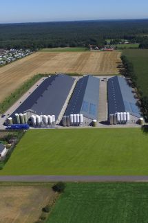 De complete bouw van uw stal