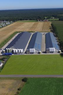 Overzicht van een totaalproject voor een kalverstal Complete construction of your barn