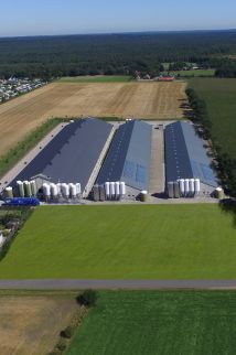 Overzicht van een totaalproject voor een kalverstal De complete bouw van uw stal