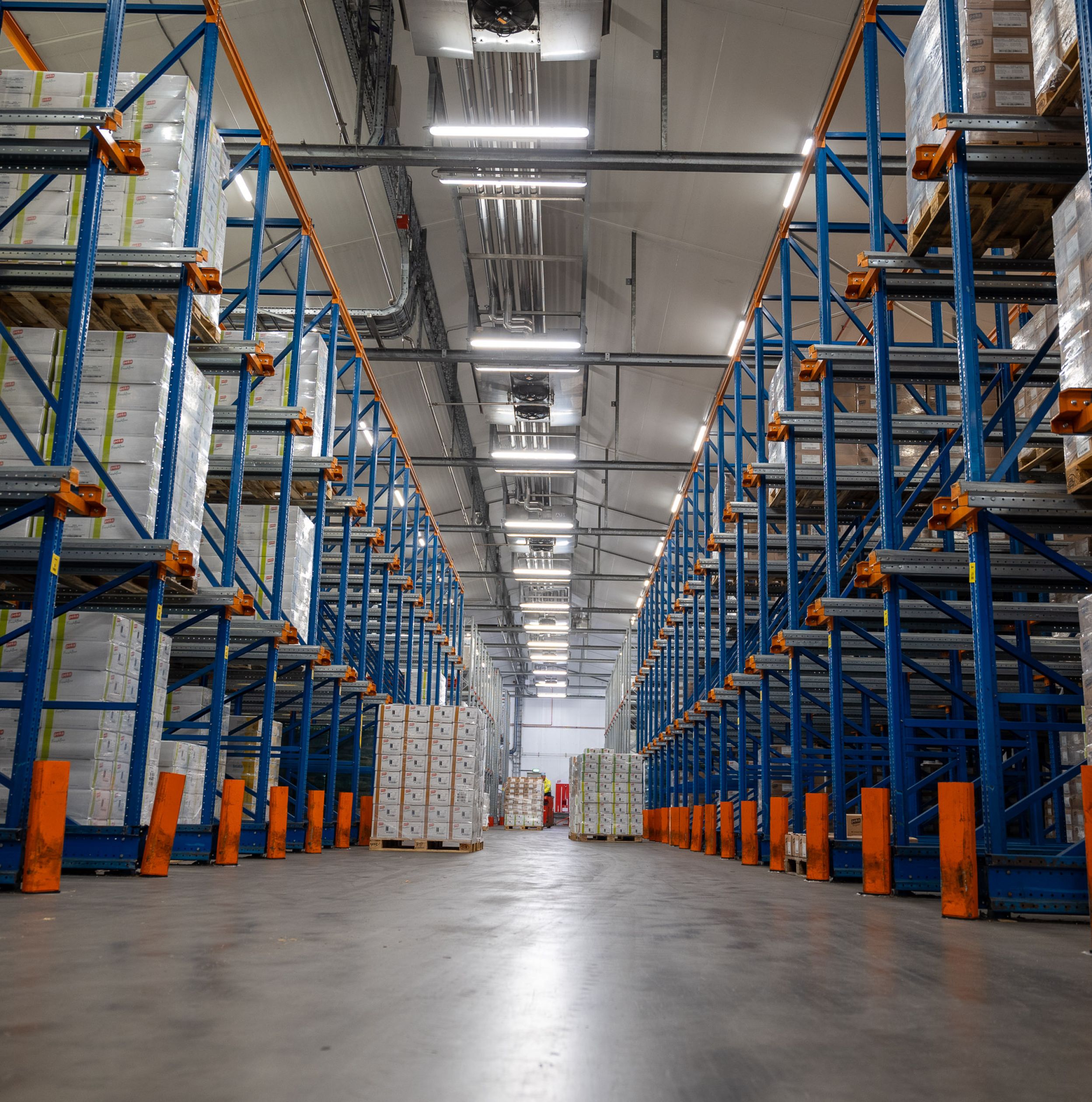 Demand en Supply Chain