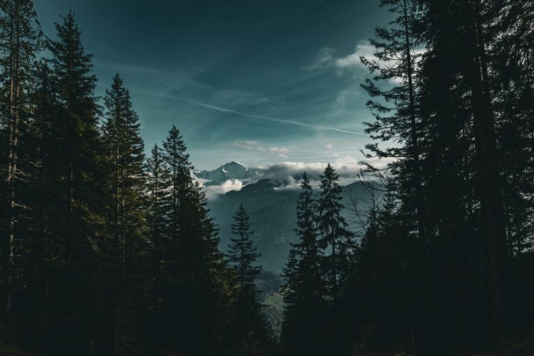 voorgangersweekend header.jpg