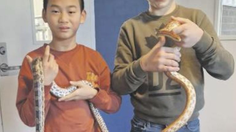 Schermafbeelding 2025-01-21 om 11.44.55