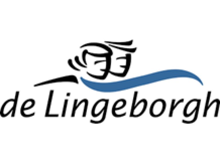 Logo Lingeborgh Logo Lingeborgh