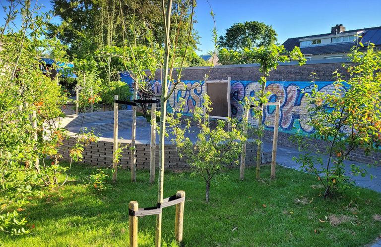 Buitenlesarena Buitenlesarena met bomen