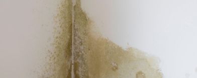 wat-te-doen-bij-schimmel-op-de-muur-alpha-vochtwering