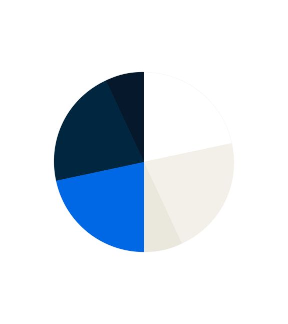 NVAF_BrandGuidelines_Online_11