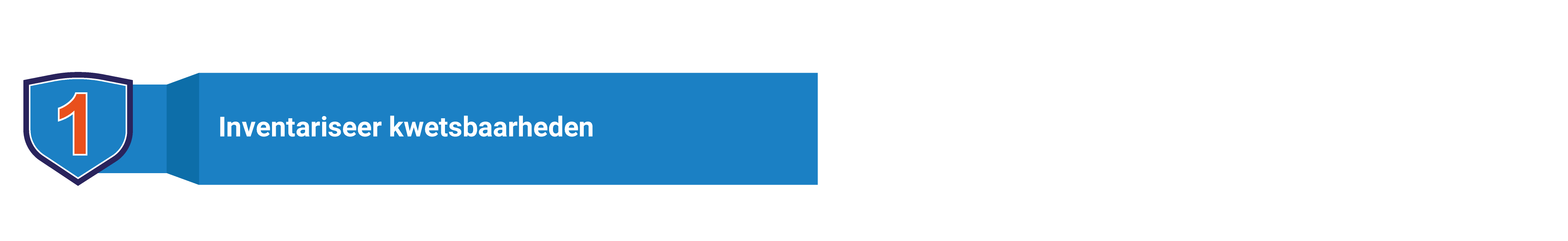 inventariseer kwetsbaarheden small 0