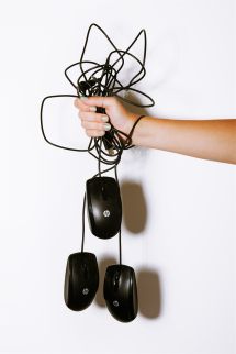 traineeship data analytics Trainee it houdt computer muizen vast