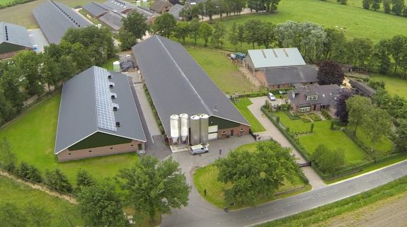 Veal farm Van Deelen