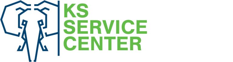 Open website KS Service Center