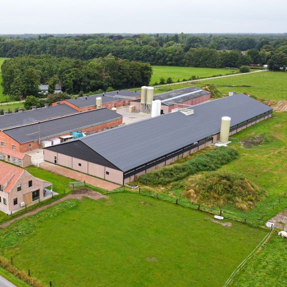 De complete bouw van uw stal